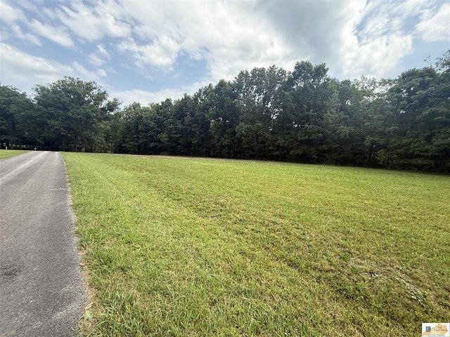 Land for sale in Columbia, Adair County