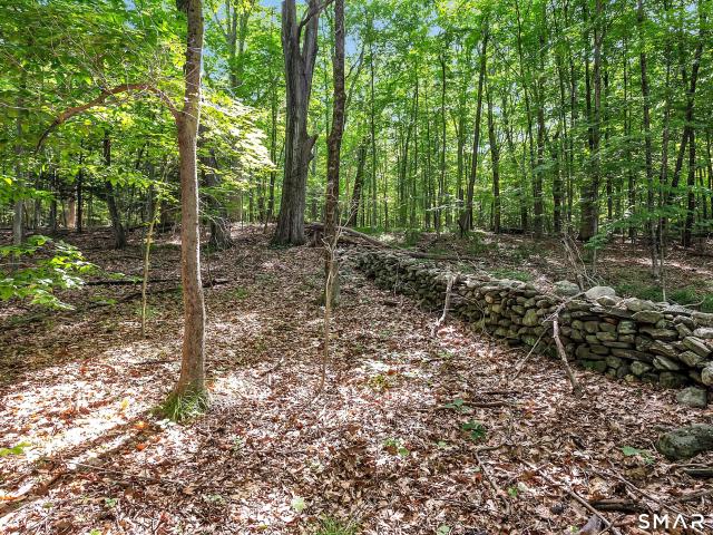 Land for sale in Roxbury, Connecticut