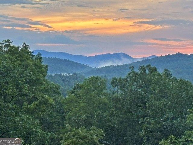 Land for sale in Morganton, Georgia