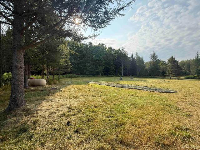 Land for sale in Michigan