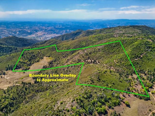 Land for sale in Palomar Mountain, California