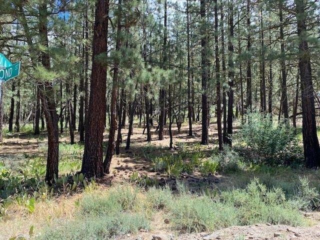Land for sale in Portola, California