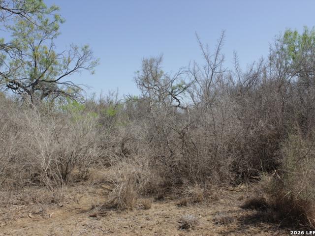 Farm for sale in Big Wells, Texas