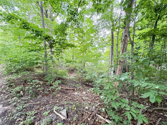 Land for sale in Hart, Michigan