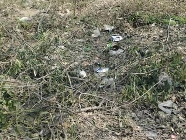 Land for sale in Jharli, Arunachal Pradesh