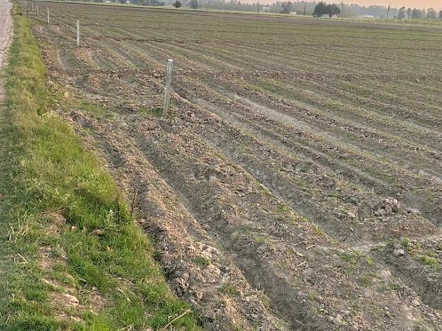 Land for sale in Hariana