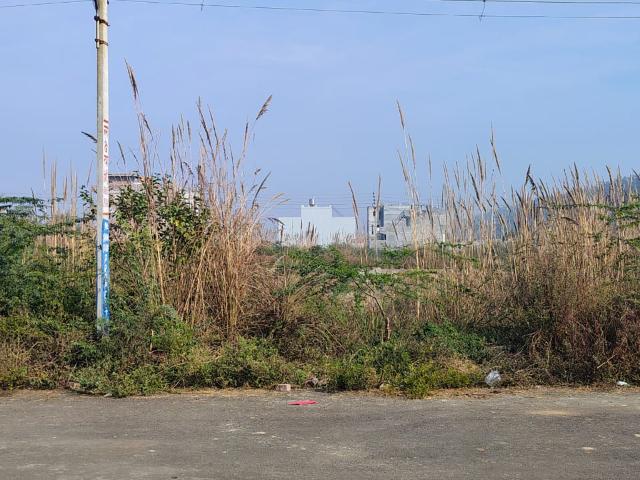 Land for sale in Hariana