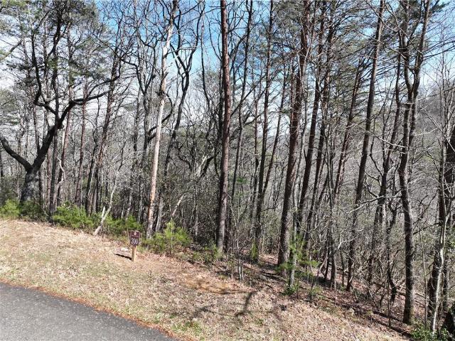 Land for sale in Gilmer, Georgia