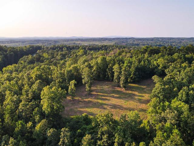 Land for sale in Ashland, Alabama