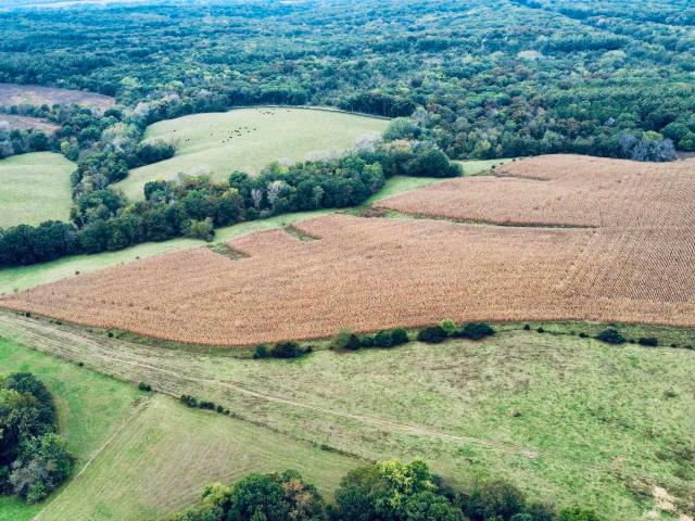 Farm for sale in Farmington, Iowa