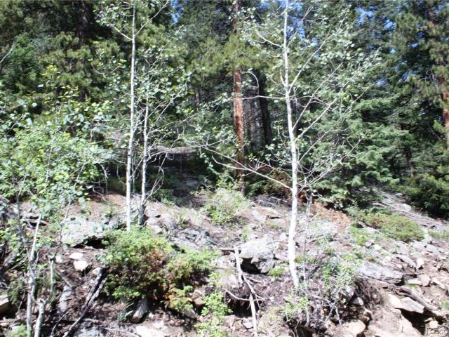 Land for sale in Clear Creek, Colorado