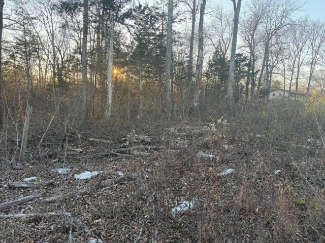Land for sale in Monticello, Kentucky