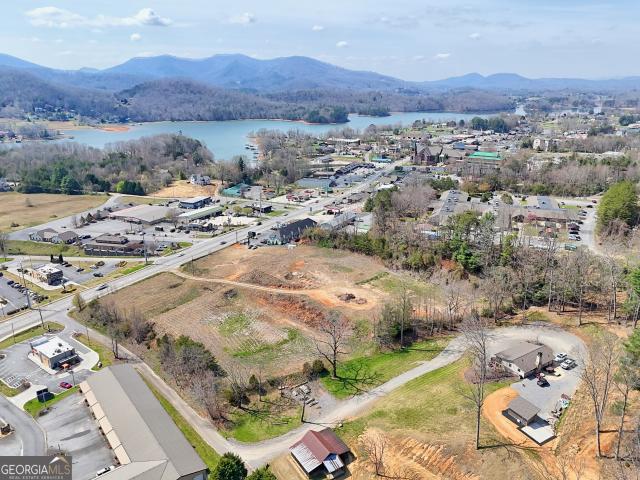 Commercial for sale in Hiawassee, Georgia