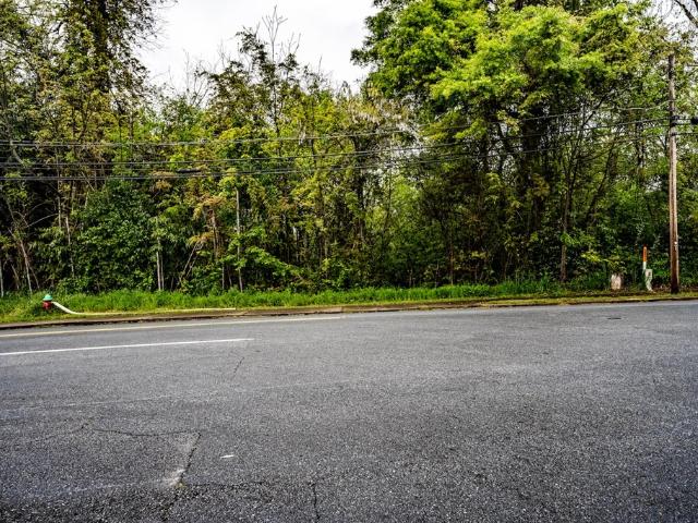 Land for sale in Abbeville, South Carolina