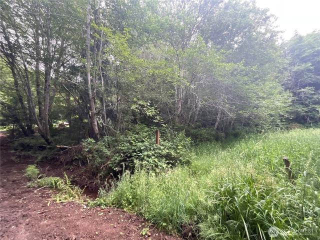 Land for sale in Elma, Washington