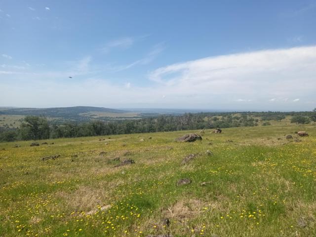 Land for sale in Anderson, Shasta County