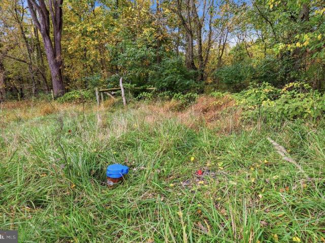 Land for sale in Kline Mill, Boonsboro