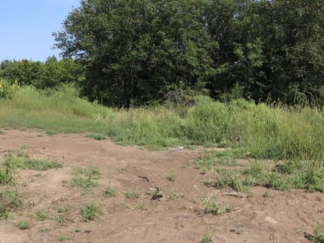 Land for sale in Carver, Minnesota