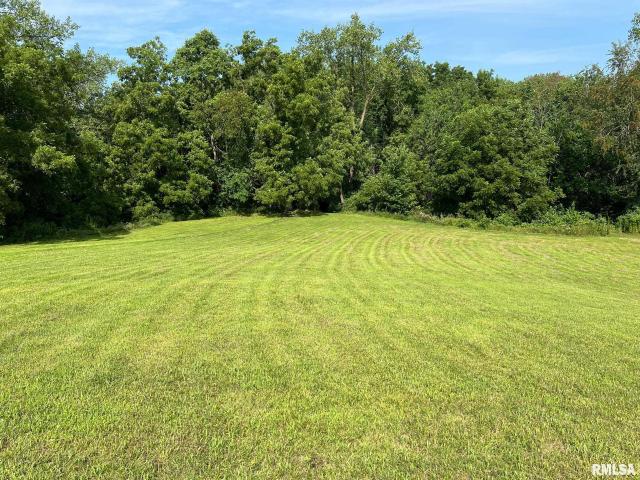 Property for sale in Woodford, Illinois