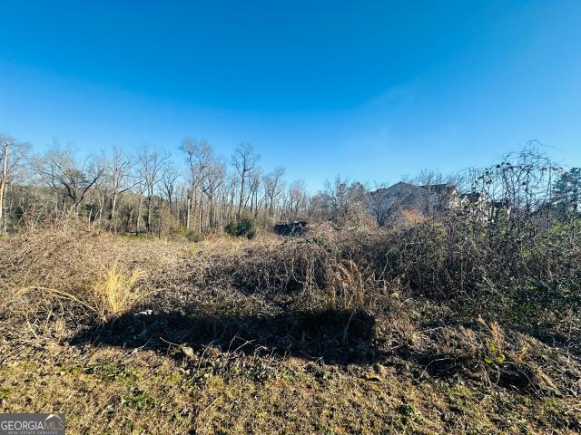 Land for sale in Kathleen, Georgia