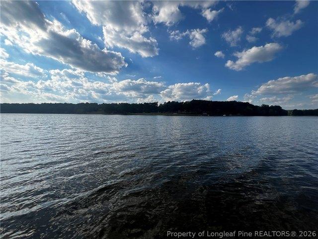 Land for sale in Sanford, Lee County