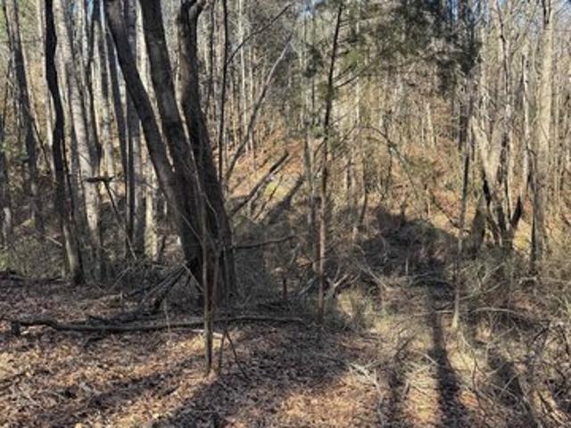 Land for sale in Vance, Alabama
