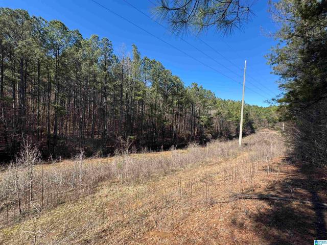 Land for sale in Vance, Alabama