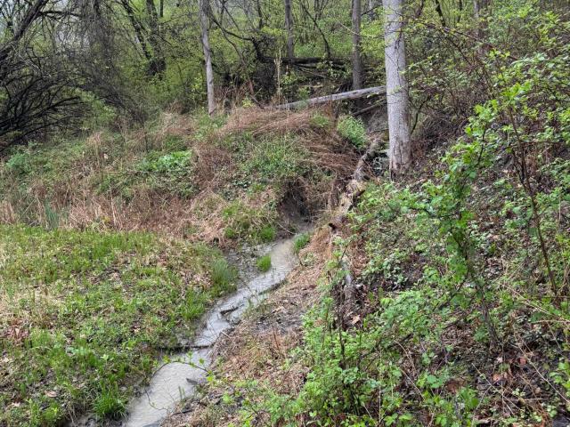 Land for sale in Johnsonville, New York