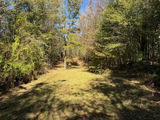 House for sale in Utica, Mississippi