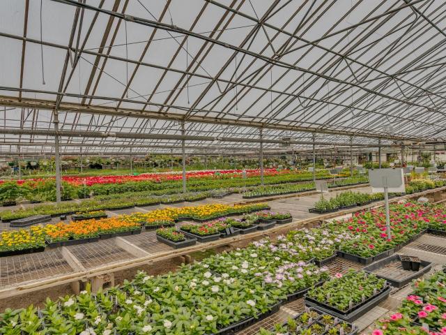 Commercial for sale in Neenah