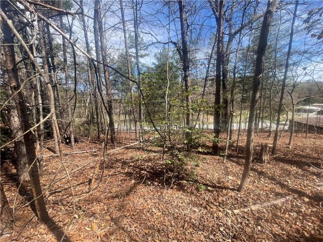 Land for sale in South Carolina