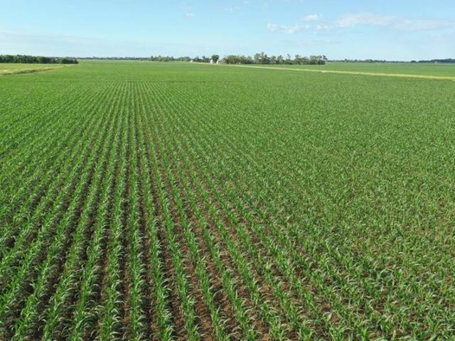 Land for sale in Nebraska