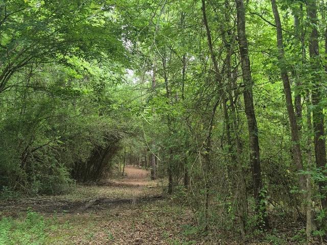 House for sale in Grapeland, Texas