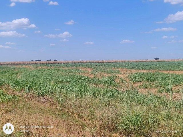Land for sale in Coupland, Williamson County