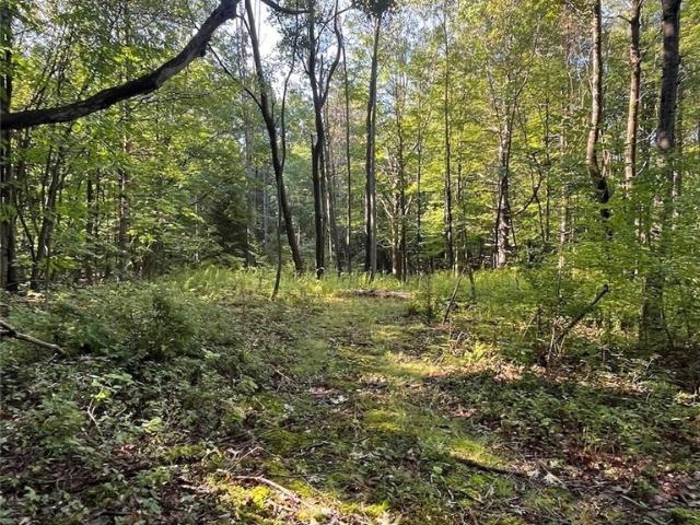 Land for sale in Dalton, New York