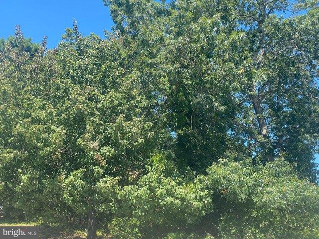 Land for sale in Barnegat Light, New Jersey