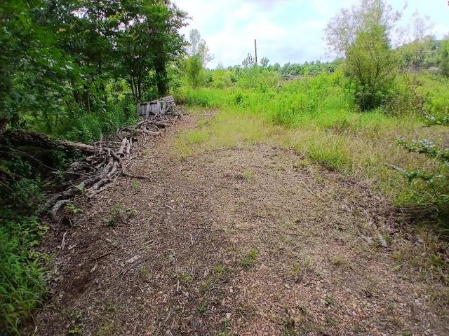 Land for sale in New Boston, Texas
