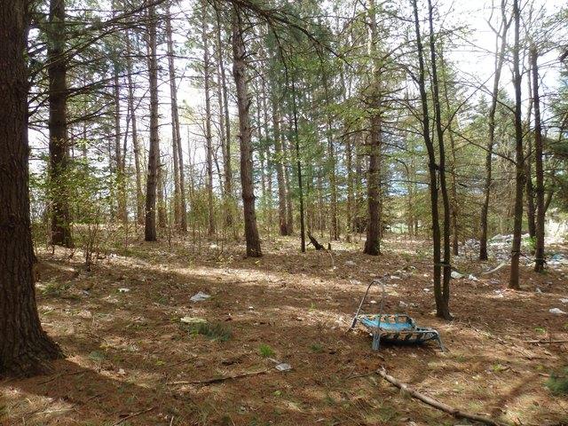 Land for sale in Copemish, Michigan
