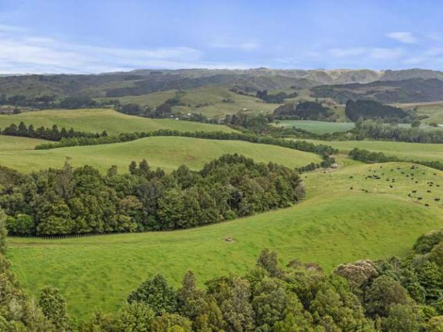 Land for sale in Raglan, Waikato