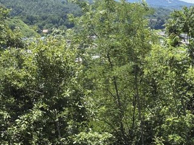 Land for sale in Tennessee
