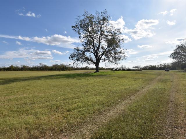 Land for sale in Wharton, Texas
