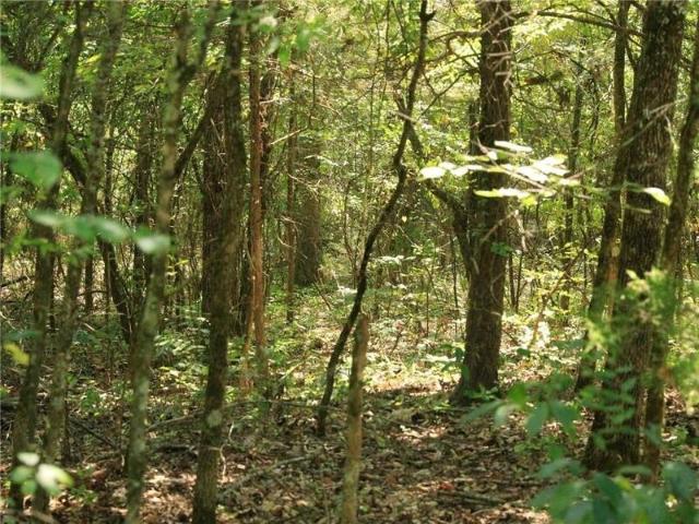 Land for sale in Horseshoe Bend