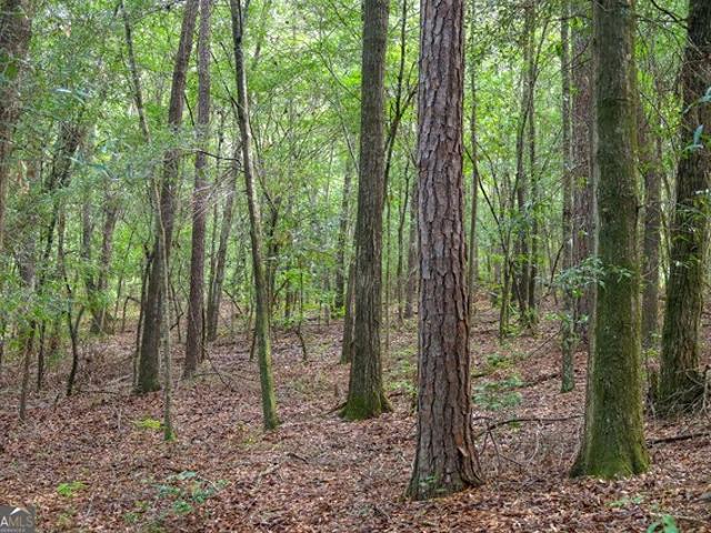 Land for sale in Baldwin, Georgia