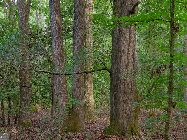 Land for sale in Baldwin, Georgia