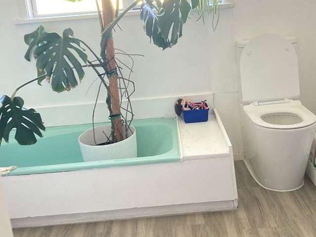 House for rent in Te Miro, Waipā District
