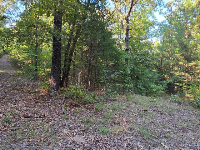Land for sale in Ark