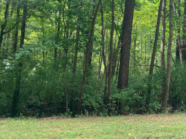 Land for sale in Chapel Hill, North Carolina