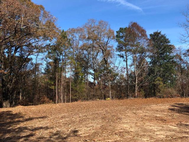 Land for sale in Elmore, Alabama