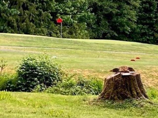 Land for sale in Hoodsport, Washington