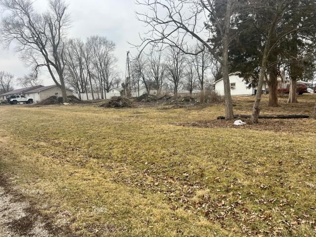 Land for sale in Vermilion, Illinois